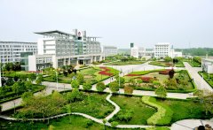 与春天同行——淮北矿业集团培育发展新质生产力释放新活力侧记