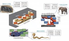 刮板输送机技术发展历程(三) ——驱动与智能控制技术